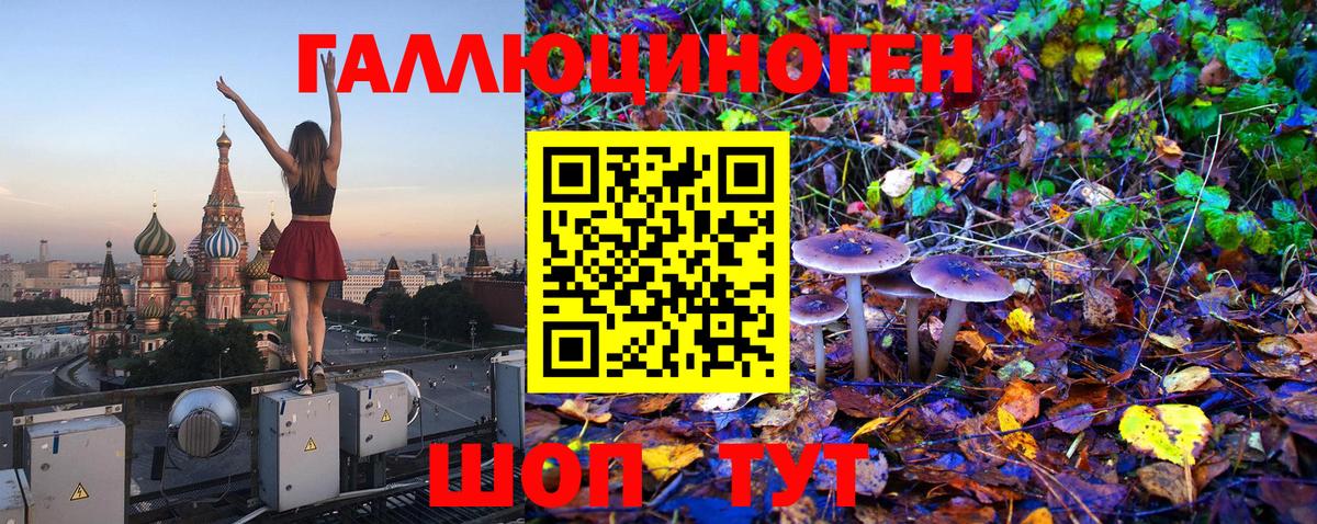 Галлюциногенные грибы Psilocybe  Вход с VPN  Киров 